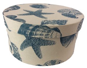 Shells with a cream background #229