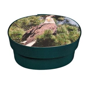 Eagle in a pine tree photo on a dark green fabric box.