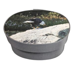 Eagle feasting on a fish photo on a gray fabric box.