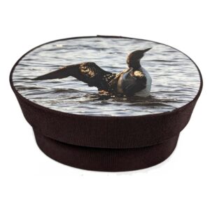 Loon photo on a dark brown fabric box.